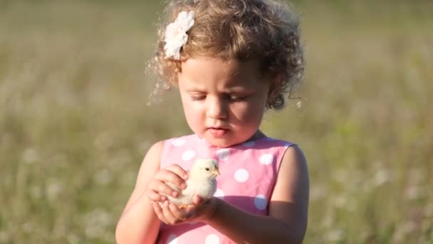 Mała Dziewczynka Trzyma Małego Kurczaka Rękach Patrzy Obiektyw Kamery Mówi — Wideo stockowe