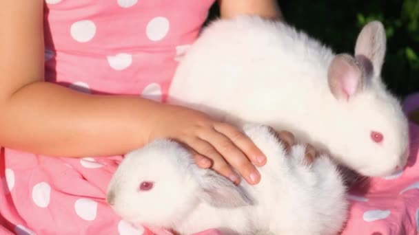 Маленька Дівчинка Грає Білими Кроликами Сидячи Траві Саду Щаслива Дитина — стокове відео