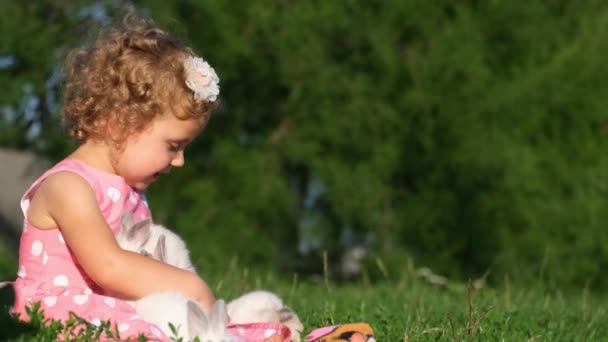 庭の草の上に座っている間 小さな女の子が白いウサギと遊んでいます ペット連れの幸せな子供 — ストック動画