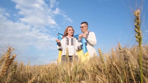 Ein Verliebtes Ukrainisches Paar Singt Inmitten Eines Weizenfeldes Bestickten Kleidern — Stockvideo