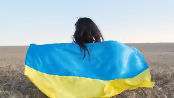 Niña Linda Niño Patriótico Ucraniano Corre Con Bandera Nacional Campo — Vídeos de Stock