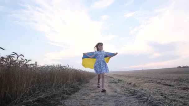 小さな女の子の手の中にウクライナの黄色のフラグは 小麦畑で実行している ウクライナの旗を持つ幸せな子供 ウクライナは自由の国です 戦争での勝利 — ストック動画