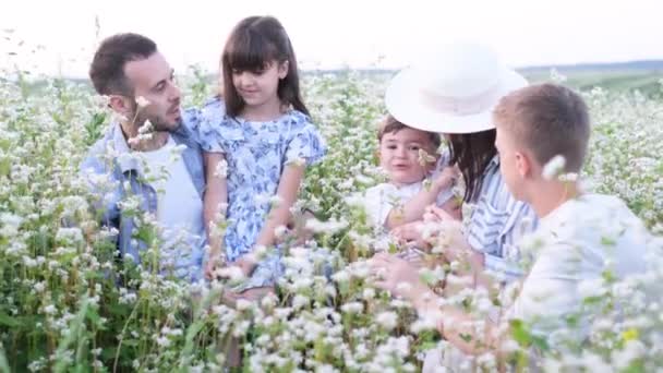 Een Jong Gezin Een Boekweitveld Gelukkige Schattige Familie Kinderen Het — Stockvideo