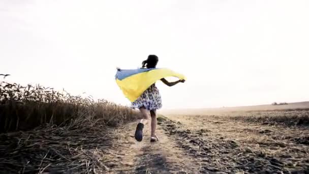 一个拿着国旗的乌克兰小女孩在旱地上奔跑 乌克兰人在战争中获胜 快乐的孩子 — 图库视频影像