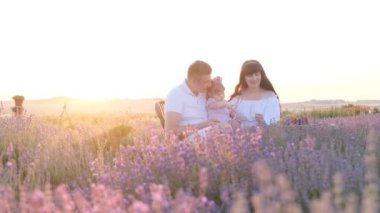 Çocuğu olan genç ve güzel bir aile lavanta tarlasında dinleniyor. Mutlu bir aile. 4k video