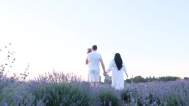 Çocuklu genç bir aile lavanta tarlasında yürüyor. Yakışıklı bir adam güzel bir esmerin elini tutar, birlikte anın tadını çıkarır, gün batımıyla karşılaşır. Yüksek kalite 4k video