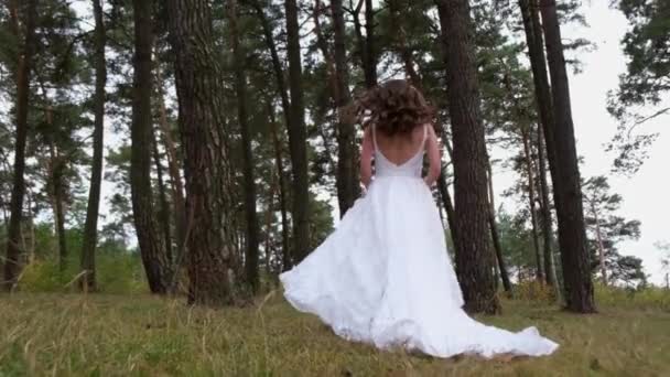 Beau Soleil Dans Les Montagnes Mariée Court Travers Les Bois — Video