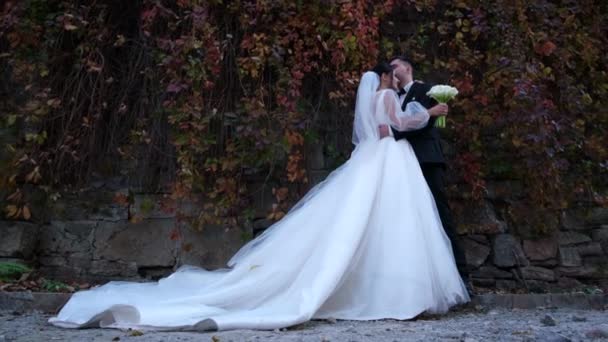 Belo Par Noiva Noivo Parede Folhas Outono Amarelas Casamento Estilo — Vídeo de Stock