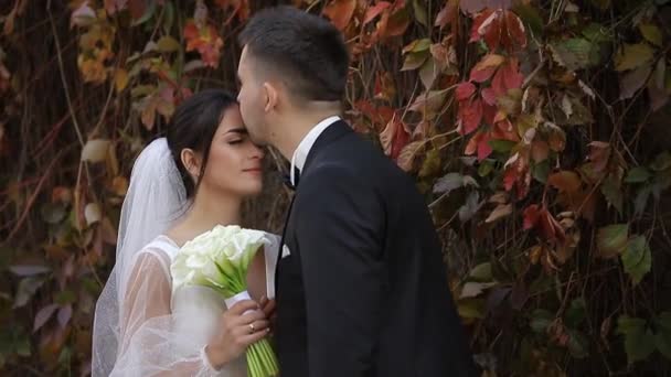 Belo Par Noiva Noivo Parede Folhas Outono Amarelas Casamento Estilo — Vídeo de Stock