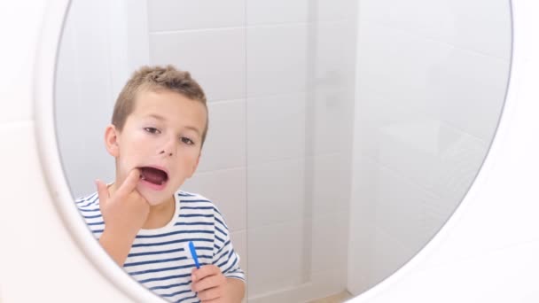 Petit Garçon Brosse Les Dents Avec Une Brosse Dents Enfant — Video