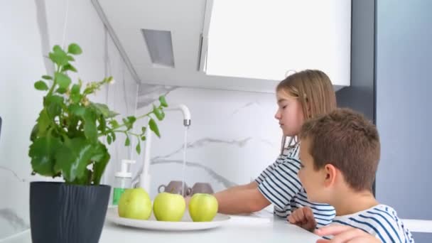 Lillebror Skolegammel Søster Vasker Æbler Køkkenet Børnene Skal Spise Frugt – Stock-video