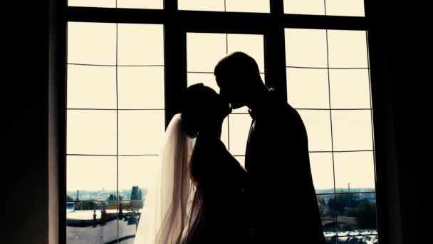 Silhouet Van Mooie Bruiden Italiaans Huwelijk Gelukkig Koppel Video — Stockvideo