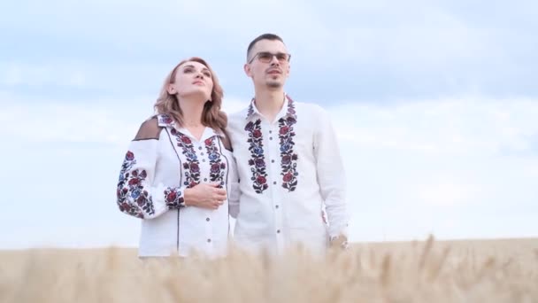 Gravar Vídeo Musical Num Campo Trigo Uma Família Ucraniana Vestidos — Vídeo de Stock