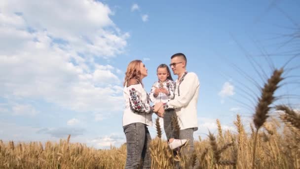 Ukrainsk Familj Broderade Skjortor Mitt Ett Vetefält Mot Blå Himmel — Stockvideo