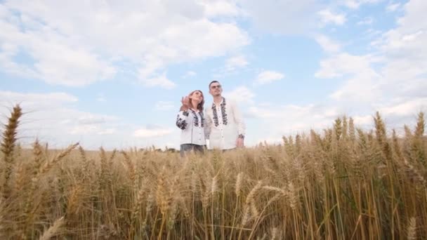 Recording Music Video Wheat Field Ukrainian Family Embroidered Dresses Sings — Stock Video