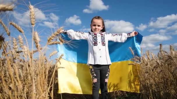 Een Prachtig Oekraïens Meisje Staat Met Een Vlag Van Oekraïne — Stockvideo
