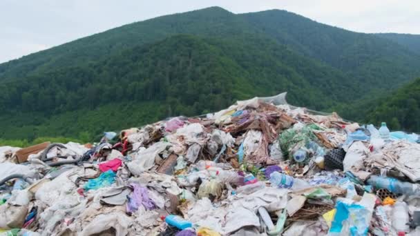 Dağlardaki Yeşil Bir Ormanın Ortasında Düzensiz Bir Çöp Yığını Çevresel — Stok video