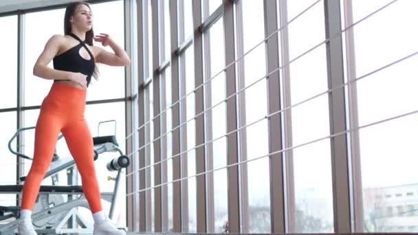 Krásná Evropská Žena Trénuje Velkého Světlého Okna Cvičí Jógu Cvičí — Stock video