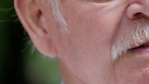 Primer Plano Cara Anciano Tiene Bigote Gris Arrugas Viejo Abuelo — Vídeo de stock