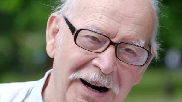 Porträt Eines Alten Mannes Gesicht Graues Haar Schnurrbart Und Falten — Stockvideo