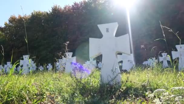乌克兰 利沃夫 2022年7月17日 绿色草地上的许多白色坟墓 纪念第二次世界大战的战士们 4K视频 — 图库视频影像