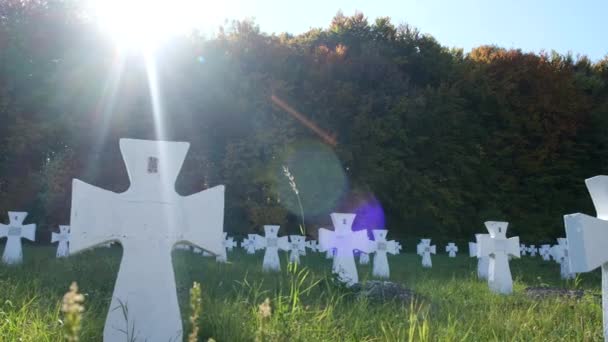 Hřbitov Pro Vojáky Ukrajinské Divize Galicie Kteří Zahynuli Druhé Světové — Stock video