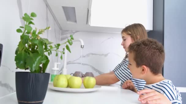 かわいい女の子が弟と一緒にモダンなキッチンで果物を洗っています 家にいる子供たち ファミリーパジャマルック — ストック動画