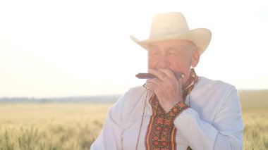 An elderly Ukrainian in an embroidered jacket plays the harmonica. A man is sitting in a wheat field.