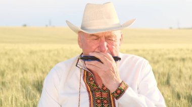 Grandfather plays the harmonica in the middle of a wheat field. An old grandfather of Ukrainian origin is dressed in an embroidered jacket
