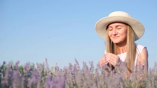 Seorang Wanita Pirang Duduk Antara Bunga Lavender Melawan Langit Biru — Stok Foto