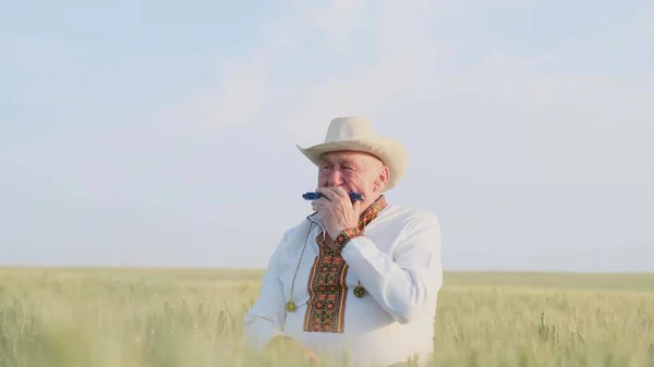 Old Ukrainian Grandfather Embroidered Jacket Sits Wheat Field Plays Harmonica — Stok fotoğraf