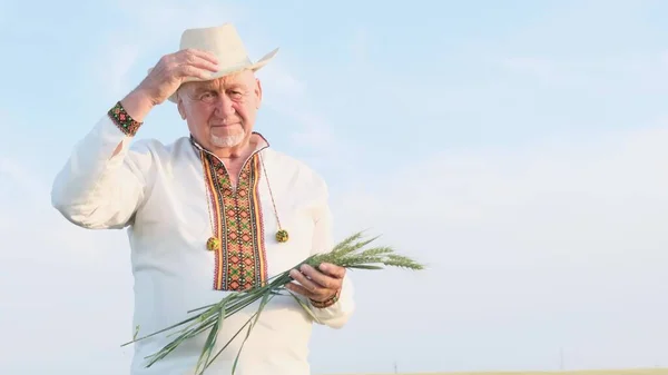 An old Ukrainian farmer walks through a wheat field and inspects the harvest. Grandfather takes off his hat in front of the camera
