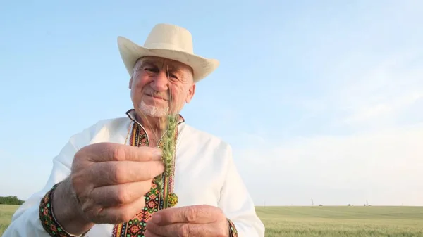 Ukrainian Peasant Inspects Wheat Crop Holding Ear Corn His Hand — Stok fotoğraf