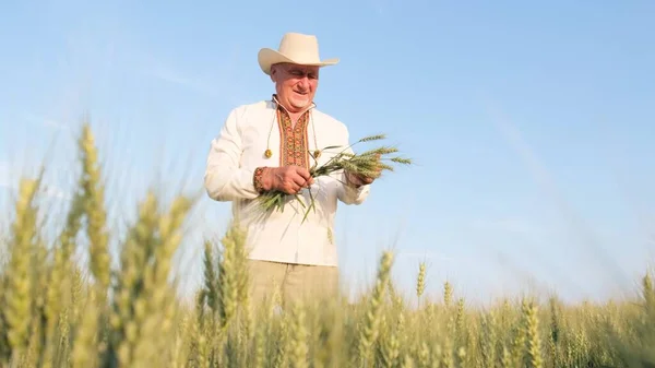 Ukrainian Peasant Embroidered Jacket Stands Field Ears Corn Old Farmer — Stockfoto