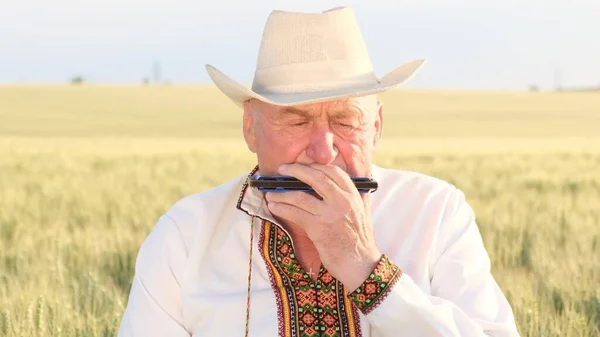 Grandfather Plays Harmonica Middle Wheat Field Old Grandfather Ukrainian Origin — Stok fotoğraf