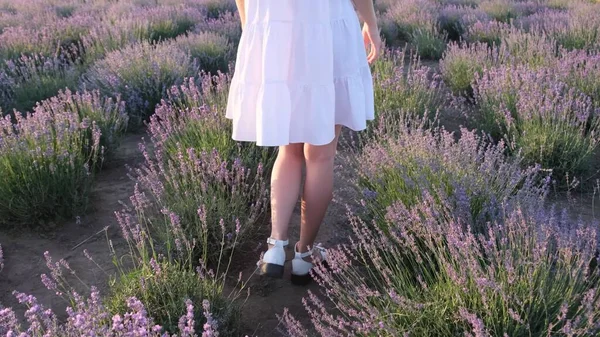 Ноги Молодой Девушки Идущей Вперед Середине Прованса Женщина Белом Платье — стоковое фото