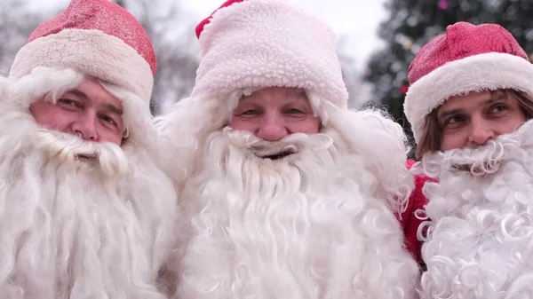 Three happy Santa Clauses happy walking in the square against the backdrop of a Christmas tree. Portrait of smiling men in Santa costumes. Merry Christmas