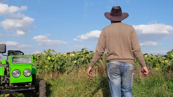 Young Farmer Walks His Sunflower Field Examines Plants His Arms — ストック写真