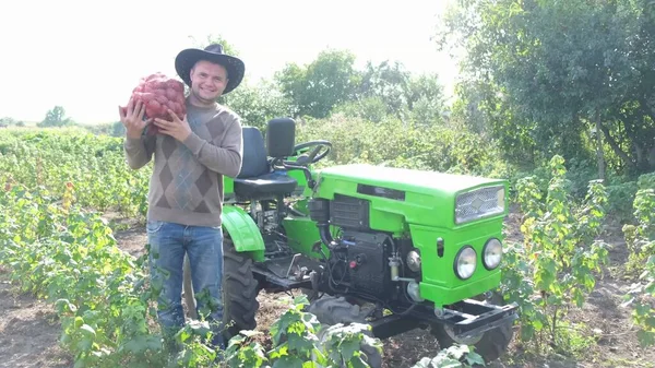 Male Farmer Carries Bag Potato Crops While Walking Field Green — ストック写真