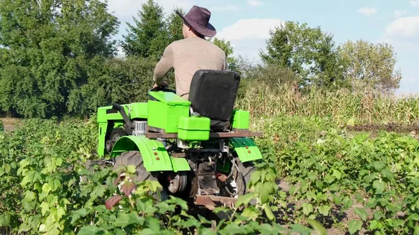 American Farmer Rides Green Tractor Inspects His Fertile Land Agriculture — ストック写真