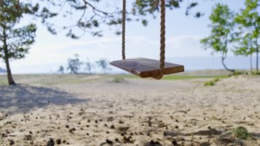Empty rope swing on the beach