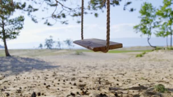 Empty rope swing on the beach — Stock Video