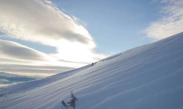 スキー場の斜面を滑り降りるスノーボーダー スキー カルパチアのスノーボード — ストック写真
