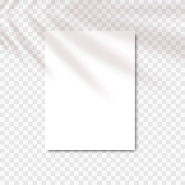 Saydam bir arkaplanda yaprakların gölgesi olan beyaz, boş bir A4 kağıdı. Vektör illüstrasyonu