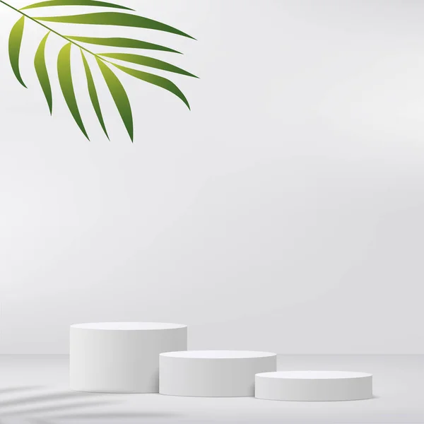 Abstract Studio Room White Color Pedestal Podium Leaves Vector Illustration — Vector de stock