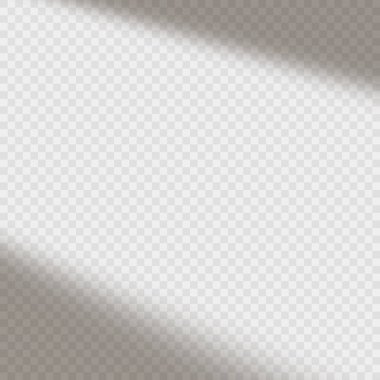 Gerçekçi gölge, şeffaf arkaplan üzerinde etkiler bırakır. Vektör illüstrasyonu