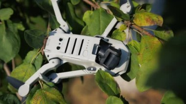 Zarar görmüş bir kamerayla bir elma ağacının dallarına asılmış bir dron.