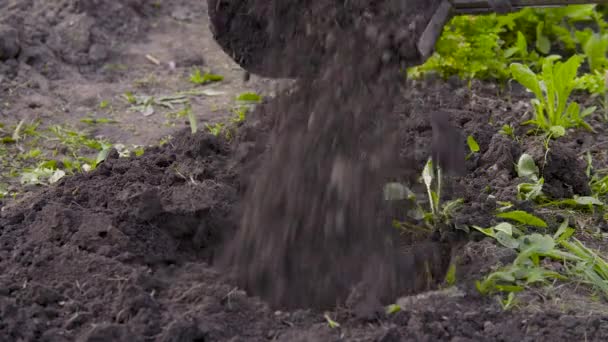Um fazendeiro desenterra a terra com uma pá — Vídeo de Stock