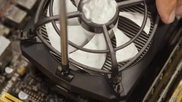 Homem reparação CPU cooler com chave de fenda close-up — Vídeo de Stock