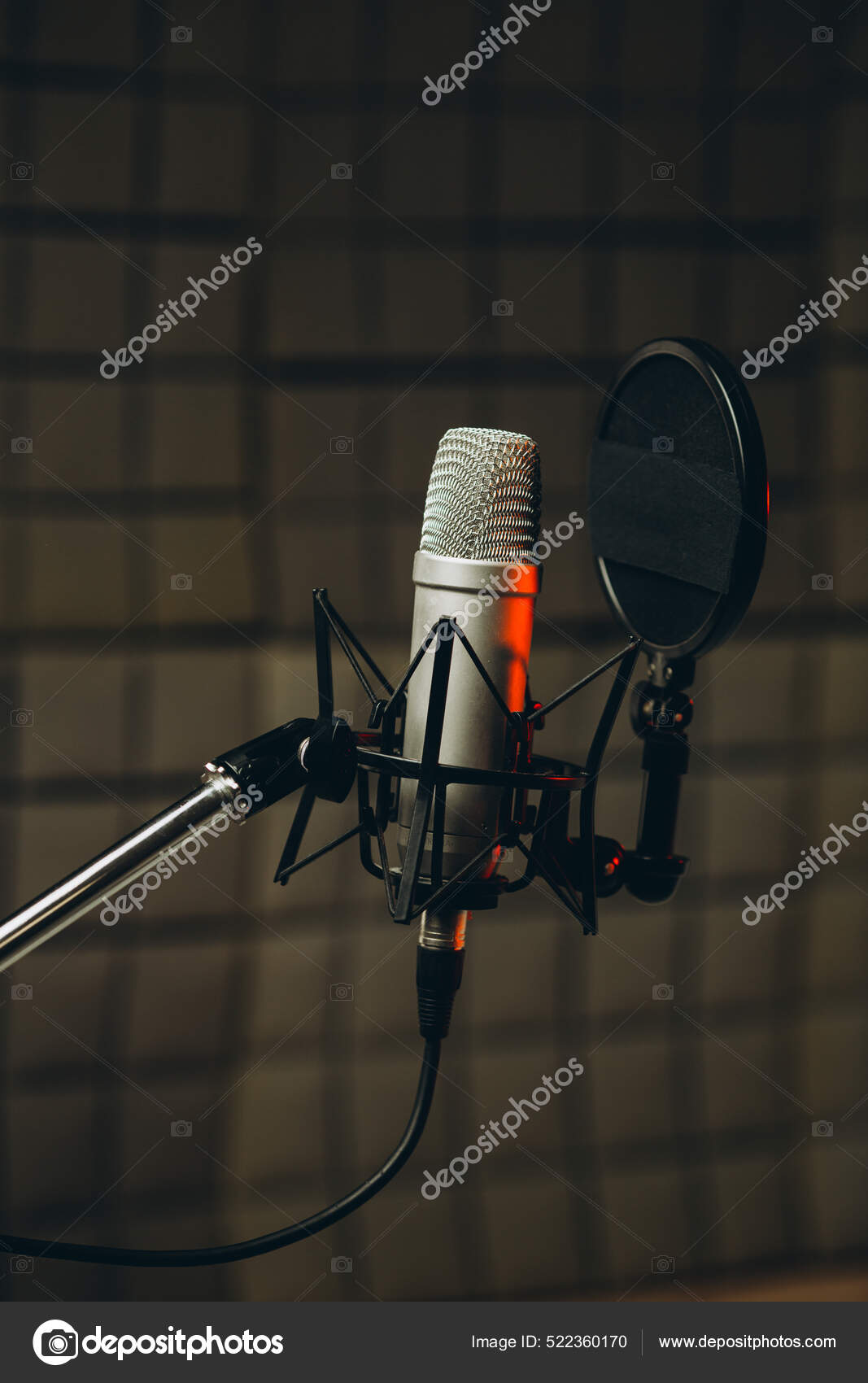 Plan Panoramique D'un Microphone Professionnel Pour Doublage Voix Dans  Studio image libre de droit par Amvorsuf © #522360170